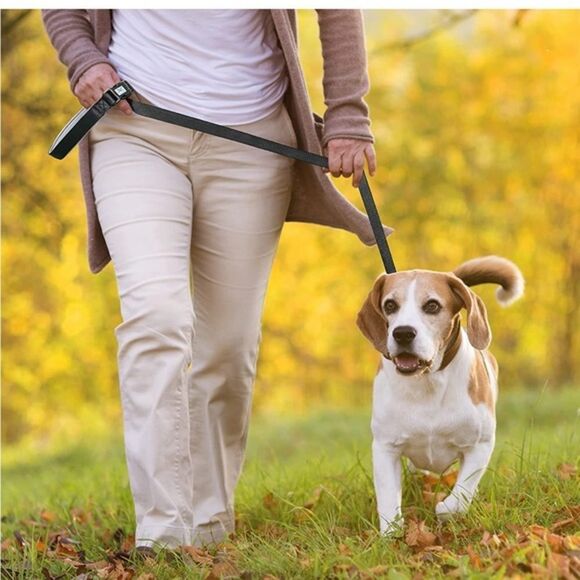 Emergency Escape Dog Leash Padded Handles&Traffic Handle and Escape Safe… - Picture 6 of 6